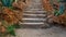 Natural stone stairway with green bushes on both sides at public park in summer time