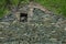 Natural stone wall of a morbid house in a garden