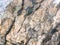 Natural stone wall mountain background texture