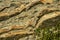 Natural stones and fragments of rocks with graceful plants on the mountain slopes near the Black Sea