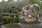 Natural stones surrounded by exotic plants. Thailand rock garden