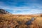 Natural stream runs in dry brown winter grasses in Sierra Nevada mountains