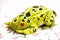 Natural style frog animal toys in a floral design cloth