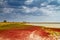 Natural summer landscape - grassy shores of salty sea firths