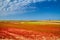 Natural summer landscape - grassy shores of salty sea firths