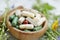 Natural suplements pills, alternative medicine with herbal plants extracts pills