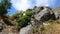 Natural Surface Rocks Bushes and Sky