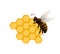 Natural sweet delicacy symbol with honeybee