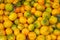 Natural tangerine fruits piled on a local market