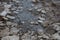 Natural texture of pieces of gray ice and muddy water in a puddle