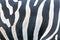 Natural Texture of the Zebra Skin, Zebra Pattern, Zebra Background, Black and White Stripes