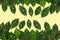 Natural tinted background ornament with green leaves.