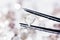 Natural transparent diamond in tweezers