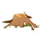 Natural tree stump icon, cartoon style