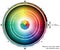 Natural or true color wheel with 4-primary colors for web artists and computer designers