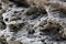 Natural tuff rock in the mountains close-up. Background