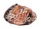 natural tumbled triplite mineral cutout