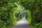 Natural tunnel with a bike road in green forest