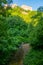 Natural Tuscan landscape with a river in the wood, at early morning in June 2019, Italy