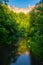 Natural Tuscan landscape with a river in the wood, at early morning in June 2019, Italy