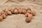 Natural, unbroken nuts on a jute bag background. Selective focus