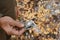 Natural unprocessed pieces of mica minerals in the hands of a man in a natural deposit