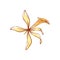 Natural vanilla flower isolated vector icon
