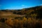 Natural view of the autumnal forest at Big Hills Springs Provincial Park in Alberta, Canada