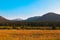 Natural view of dried grasses, trees and mountain landscape in Estes Park, Colorado in the USA