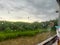 a natural view of green trees from the glass of a train passenger with remaining raindrops still stuck to the glass