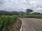 natural view of small Indonesian mountains in a village in South Sulawesi