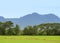 Natural view of thai country side rice fields, trees and mountain background