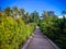 Natural View Of Wide Garden With The Pathway Through Plants And Trees At The Village