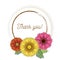 Natural vintage greeting card with inscription of words Thank you with yellow, orange, pink magenta gerbera flowers. Vector hand