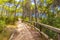 Natural walking path in forest Parc natural de MondragÃ³ Mallorca