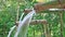 Natural water flowing bamboo tube
