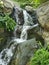 Natural Waterfall Beauty