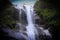 A natural waterfall in hills of sikkim, india in between forest vegetation with captured with slow shutter speed