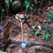 A natural waterfall used as a traditional drinking water source