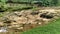 Natural waterfont with ancient petroglyphs knowed as `fuente de lavapatas` at Colombian San Agustin archaeological park.