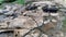 Natural waterfont with ancient petroglyphs knowed as `fuente de lavapatas` at Colombian San Agustin archaeological park.