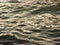 Natural waves in Venice at sunset, water, Grand Canal