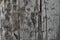 Natural Weathered Grey Tan Taupe Wooden Board, Cracked Ruined Rough Cut Sepia Wood Texture, Large Detailed Old Aged Gray Lumber