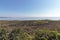 Natural Wetland Vegetation at Lake St Lucia South Africa