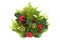 Natural Winter Flora with Holly and Greenery