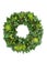 Natural Winter Greenery Solstice Wreath