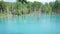 Natural wonder of Biei, Hokkaido - the Blue Pond on a sunny summer day