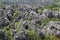 Natural wonders of China (stone forest)