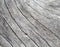 Natural wood background. Pale grey weathered timber closeup