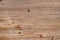 Natural wood horizontal planks background
